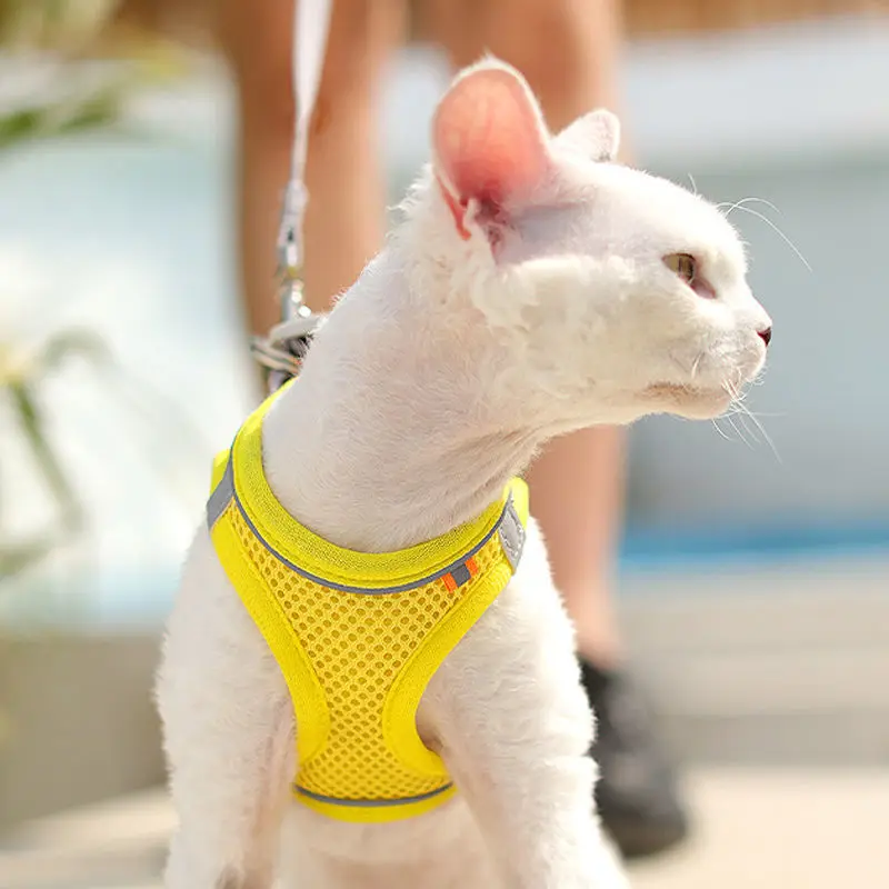 

Повязка на грудь для кошек, специальная Противоударная веревка для кошек, привязанная цепочка для кота