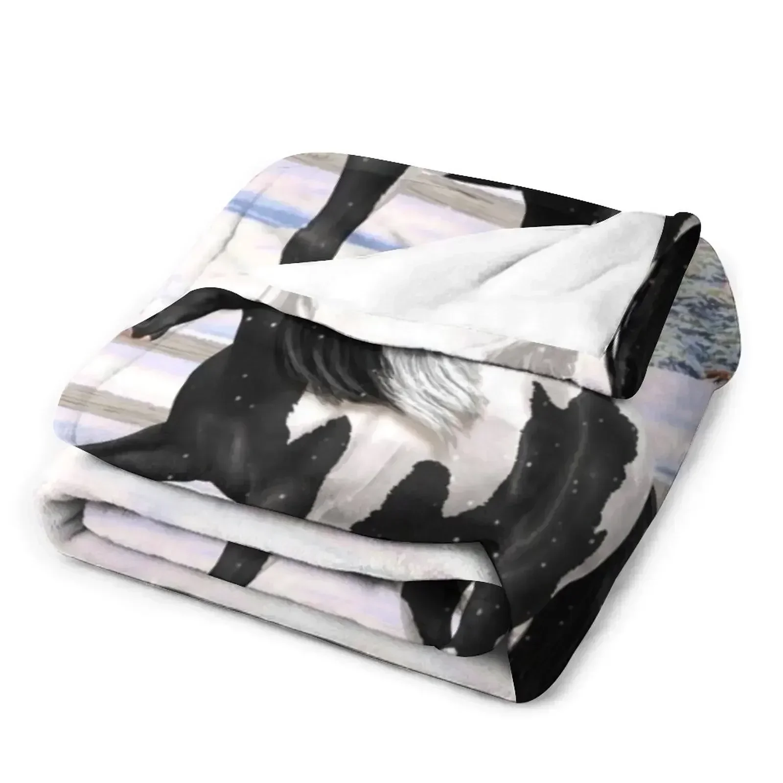 Черный Пинто Пестпедл цыганские венеры драфт лошадь в снегу пледы одеяло