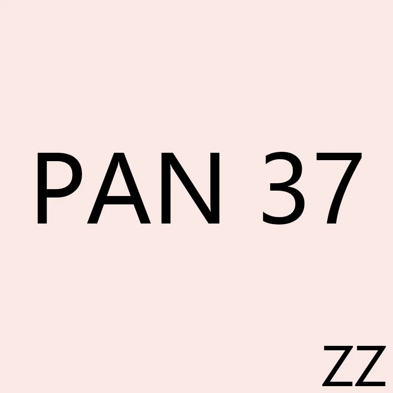 

PAN ZZ 37