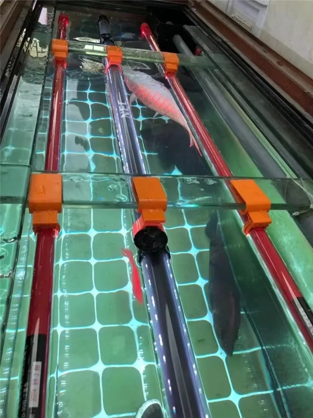 Лампа Arowana светодиодная красная специальное стекло яркий цвет IP65 светильник для