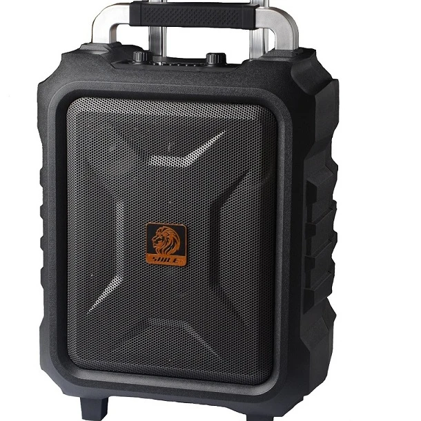 

8 Inch Speaker Trolley Portable Audio Player Active Karaoke Sound System Professional