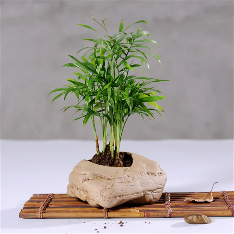 

Handmade Japanese Coarse Pottery Flower Pot Ceramic Imitation Stone Pattern Succulent Plants Pot Garden Planters Home Decoration
