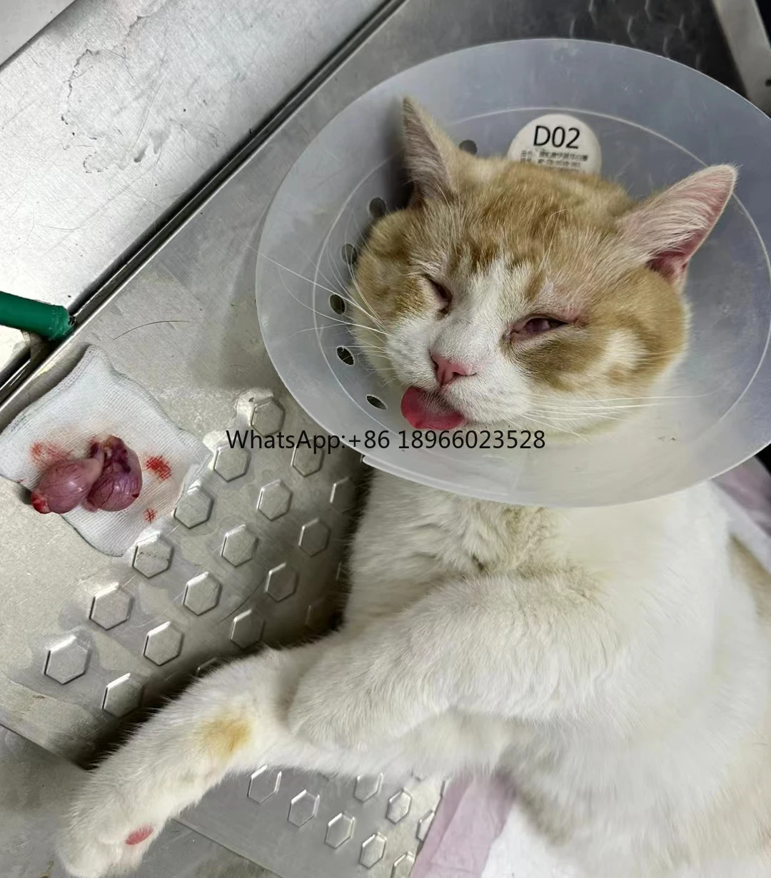 Средство для ухода за питомцами ошейник кошек и Элизабет питомцев