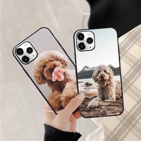 teddy dog cute animal phone case for iphone 12 11 13 7 8 6 s plus x xs xr pro max mini shell