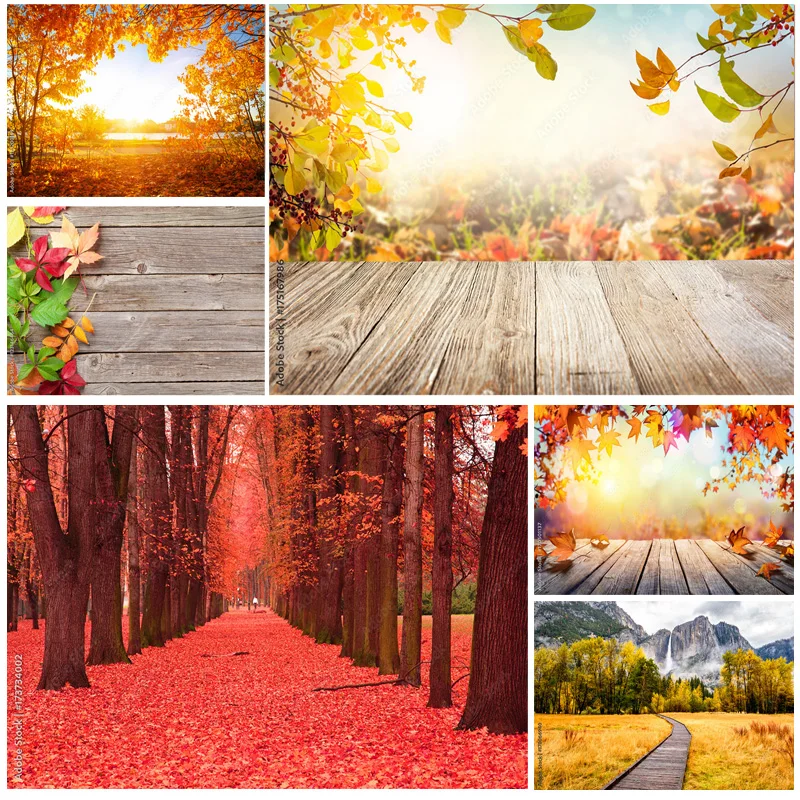 SHENGYONGBAO Natural Scenery Photography Background Fall Leaves Forest Landscape Photo Backdrops Studio Props QQTT-03
