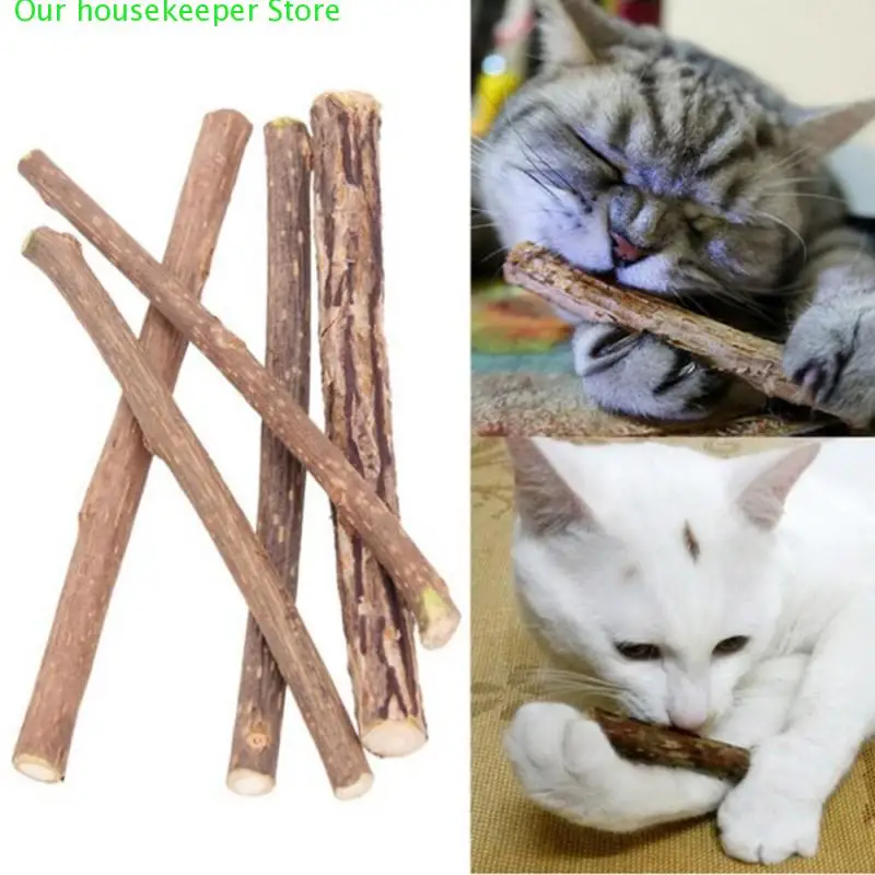 

5 шт., зубная паста для кошек и котят