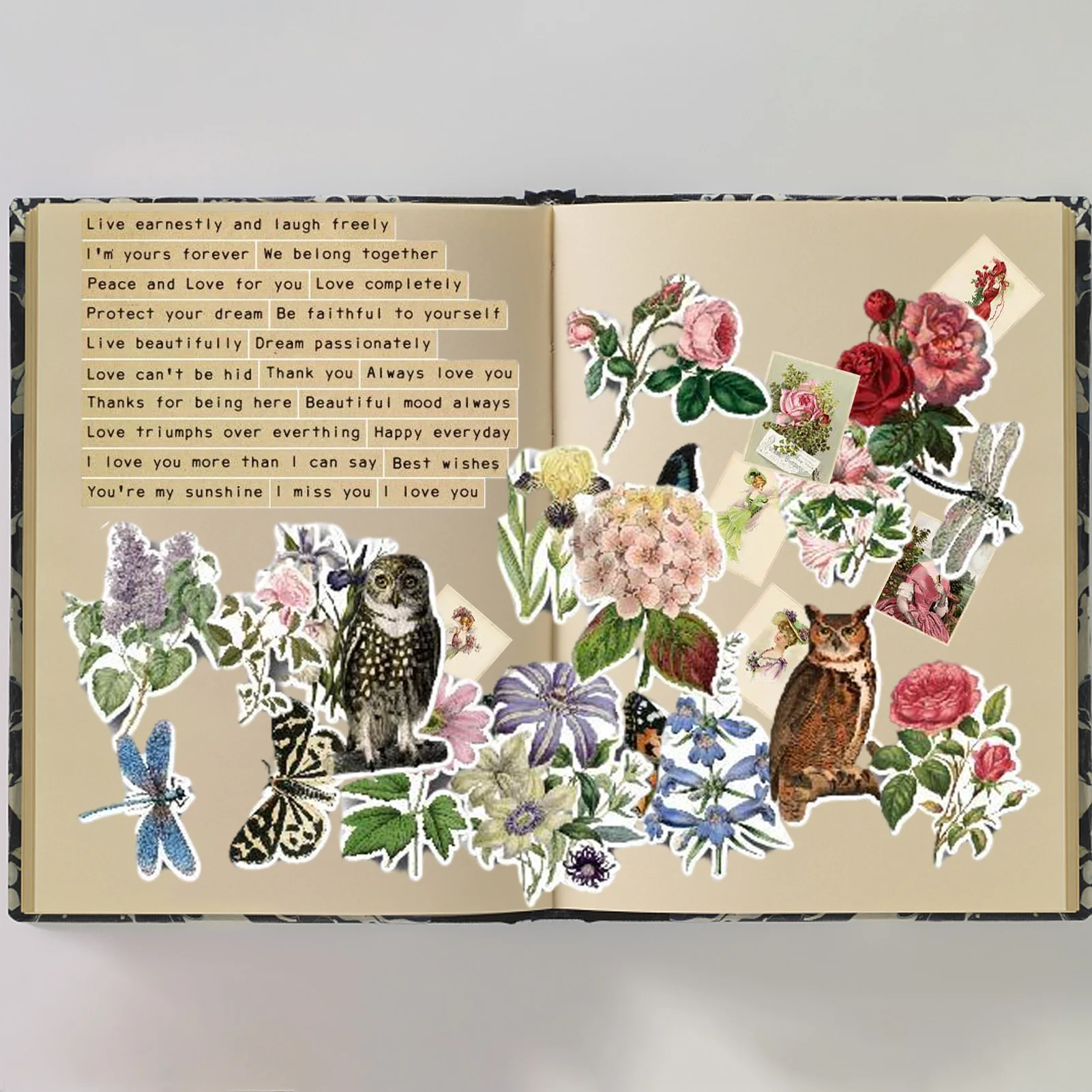 

Paper Die Cuts Fairy Vintage Cardstock Die Cuts Collection Kit Scrapbooking Journaling Project 12 Inch