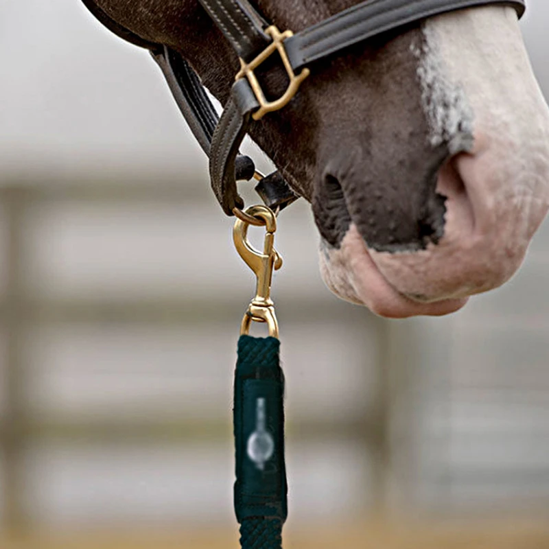 

Упряжка для лошадей, упряжка для лошадей, водная упряжка, упряжка для лошадей