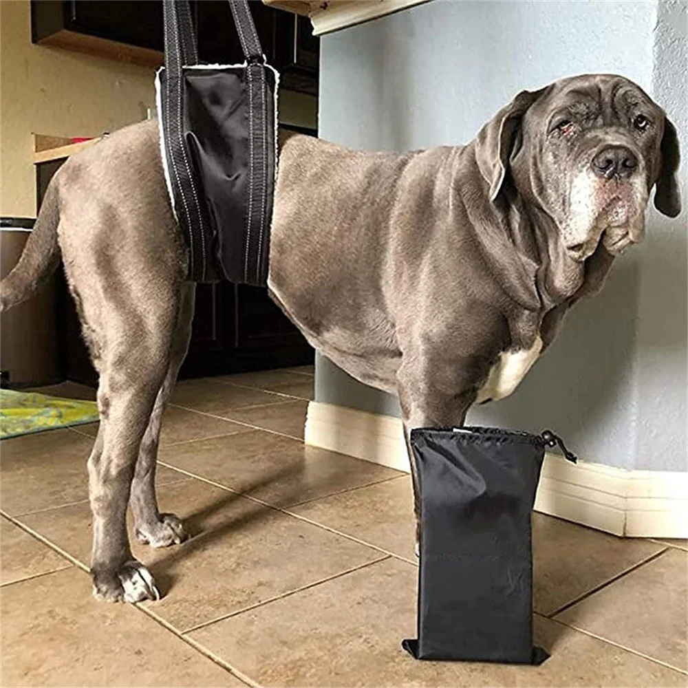 

Portable Dog Sling Back Legs Hip Support Withing Adjustable Reflective Band Injured Disabled After Surgery Dog Lifting Harness