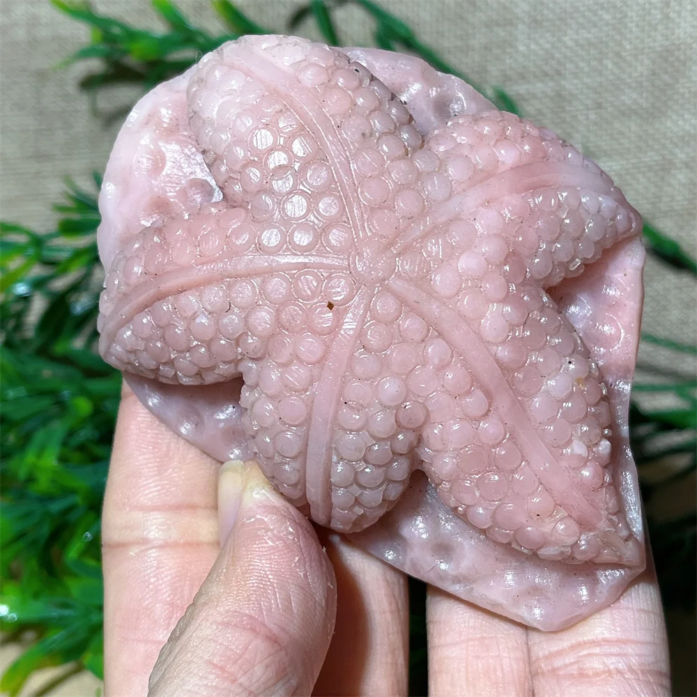 Природный розовый опал морская звезда камень Кварцевая резьба красота