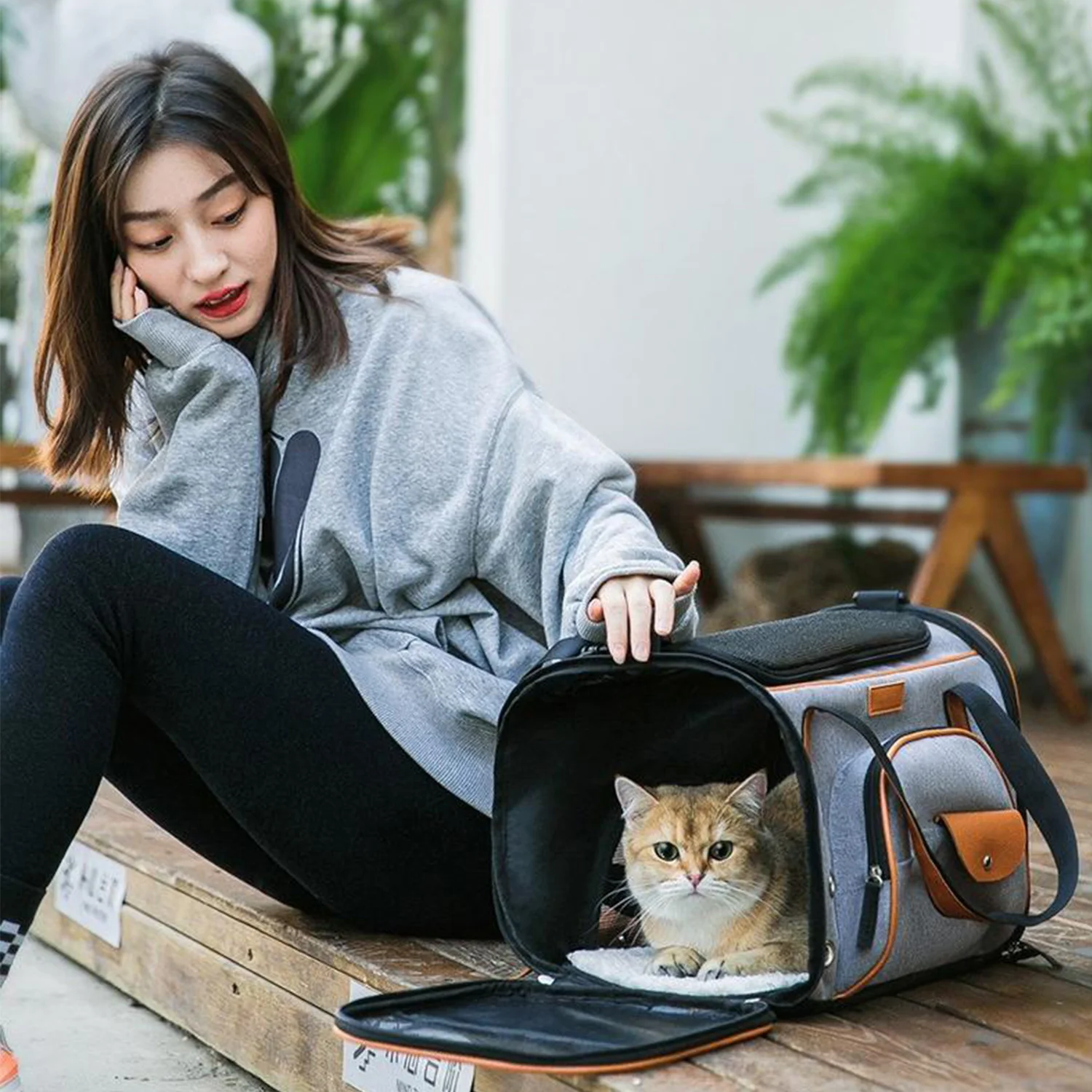 

Travel pet bag backpack breathable folding puppy outdoor travel portable shoulder bag folding cat is convenient and safe to carr