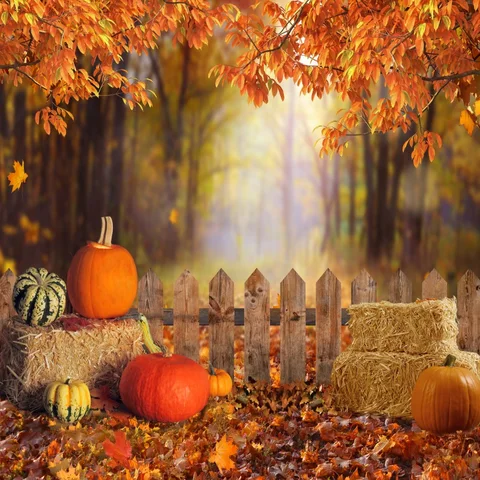 Фотофон Осенняя Тыква фотография осень благодарение Урожай сено листья фон ферма амбар фотосессия детей