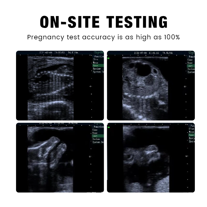 Ультразвуковой сканер для животных USG портативный сонар крупного рогатого скота