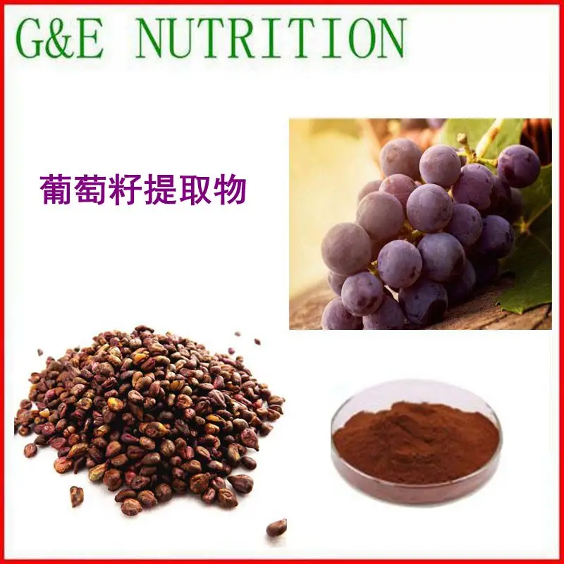 

Natural grape seed extract powder 20:1 with proanthocyanidins