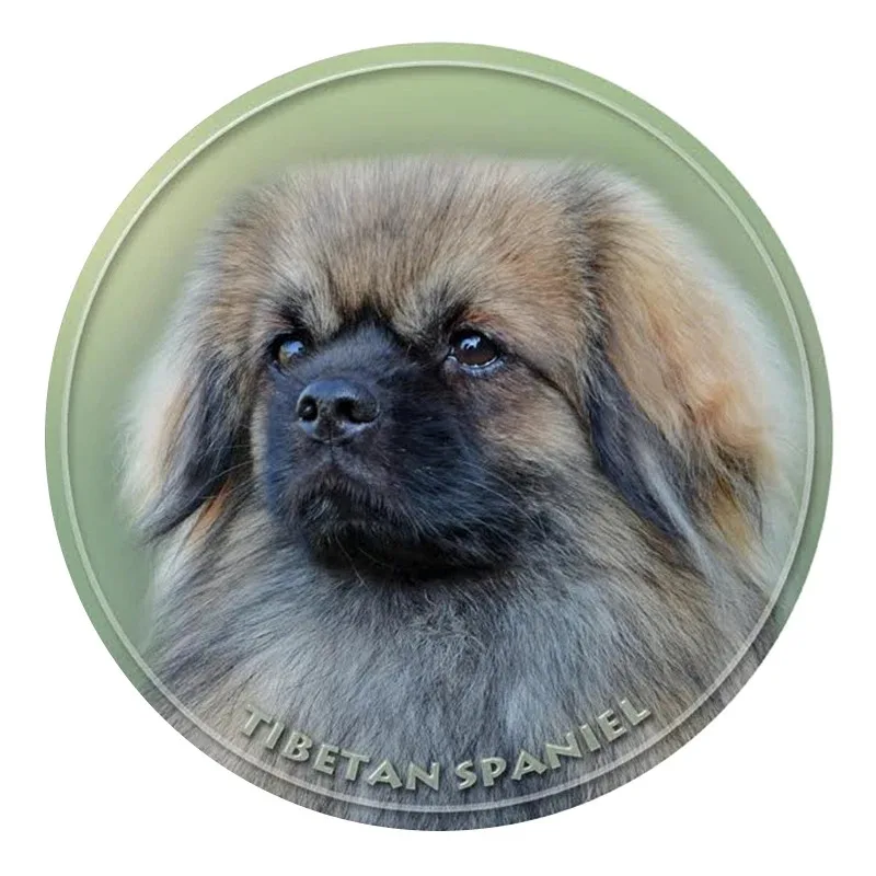 

Наклейка шведская Vallhund собака животное автомобильная наклейка для бампера заднее окно ноутбук холодильник туалет 13 см ПВХ KK