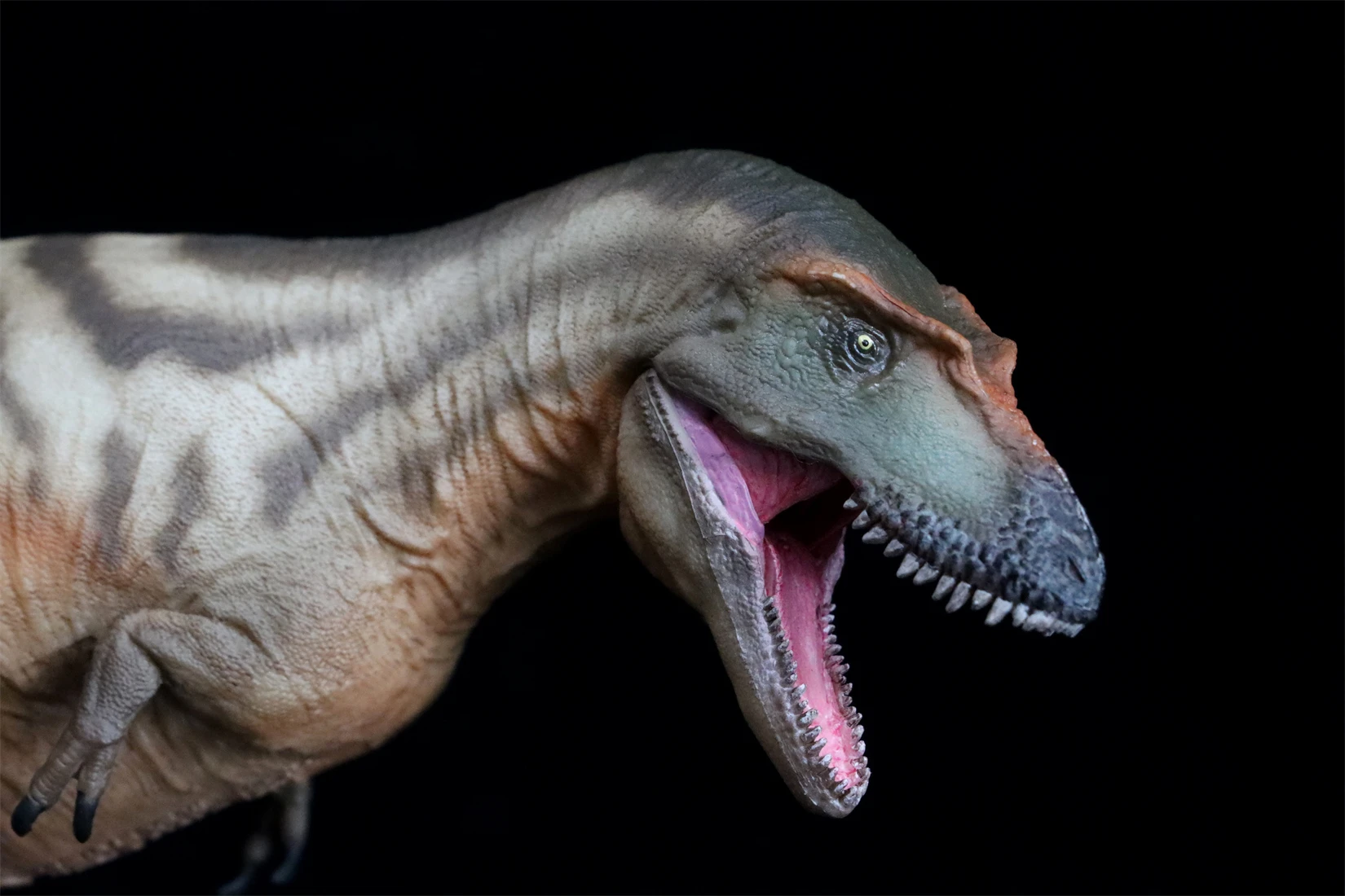 Фото PNSO 71 Gorgosaurus модель Тристана тираннозавр доисторические животные наука динозавр Коллекция Декор подарок Детская развивающая игрушка №4