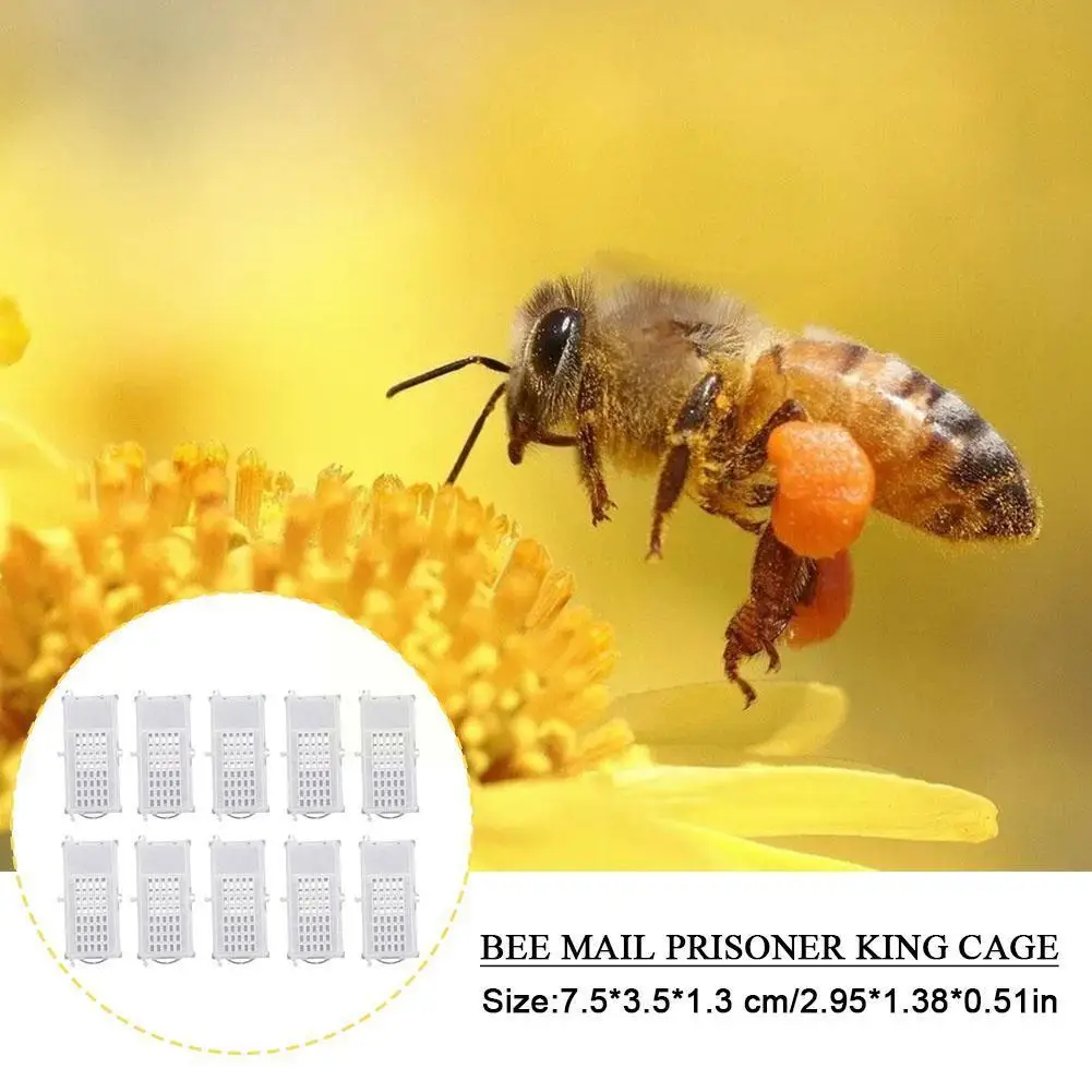 

10pcs Transparent Queen Bee Cages Beekeeping Catcher Plastic Bee Isolator Clip Beekeeper Rearing Tools For Indoor Home Outd Y9M9