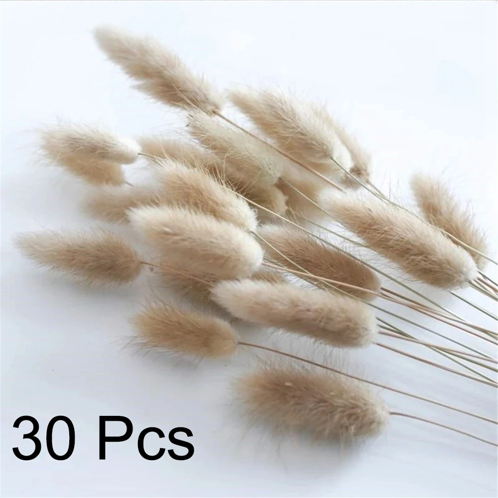 

Сухие цветы ротанга pampas grass 30 штук