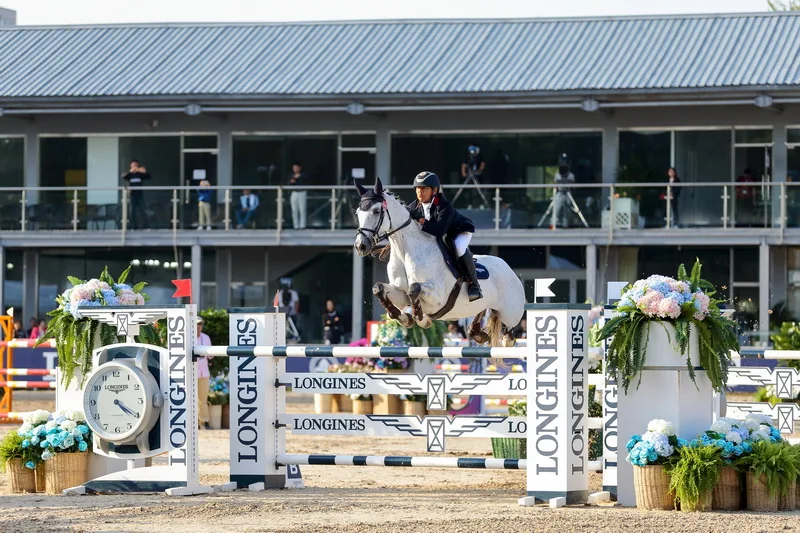 Лошадь прыжок буква и номер конус