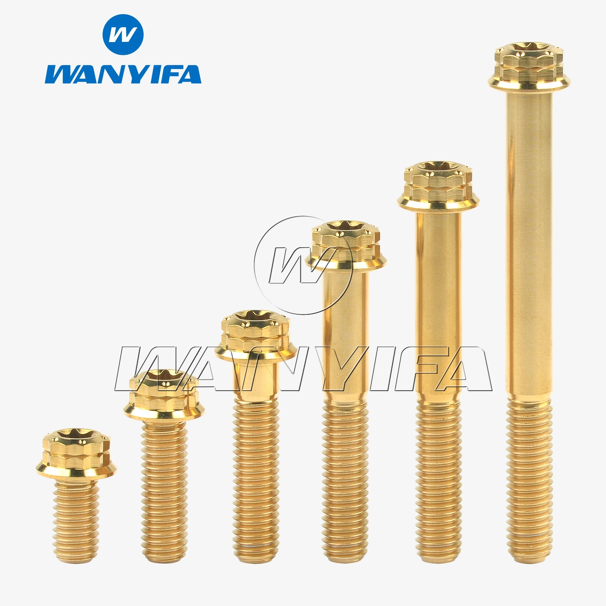 Фланцевый винт T40 Torx с 12 точками, для мотоциклов, M5 x 15/20/25/30/35/40/45/50/55/60/65/80 мм