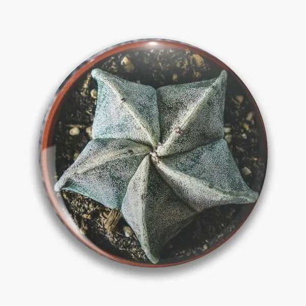 Астрофитум мириостигма A K A епископ Ca мягкая брошь на булавке для шляпы любимый металлический милый модный Декор подарок булавка на лацкан Забавный