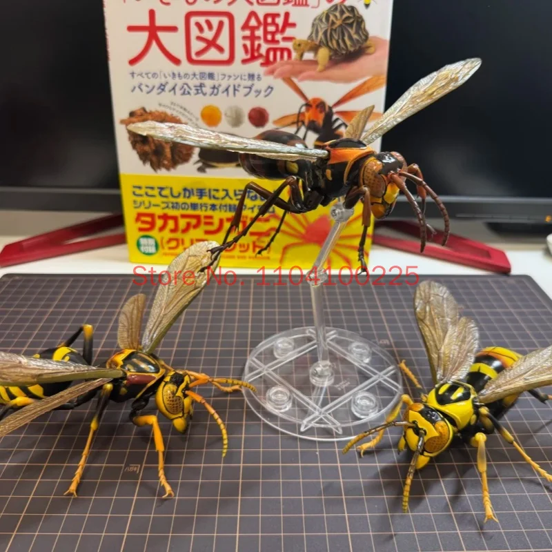 Фото Оригинальная коллекционная фигурка-модель Bandai: реалистичная имитация насекомого (оса, муравья Myrmecia Bulldog) — премиум-класс, высокая детализация, игрушка, украшение, подарок №5
