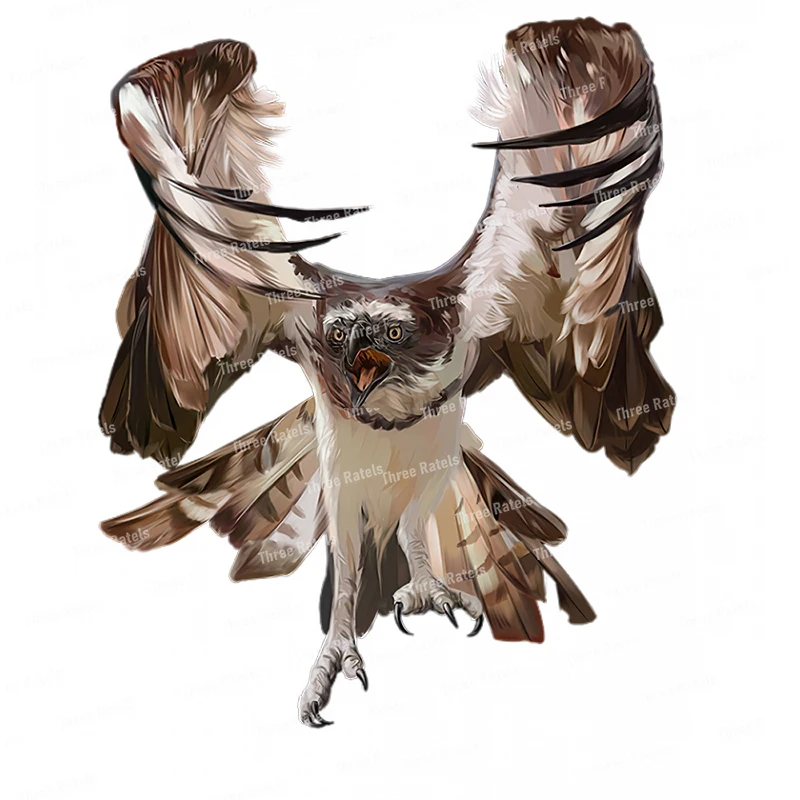 Персонализированная наклейка Three Ratels QCF168 с рисунком острых Орлов на стену для