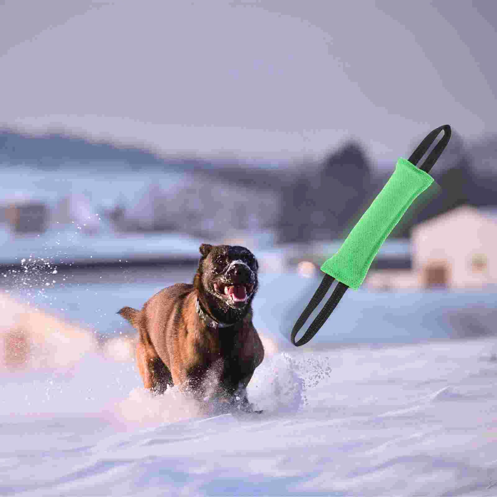 

Интерактивная тренировочная игрушка для домашних питомцев, игрушка для собак, поклевка для собак, для улицы, парка, дома