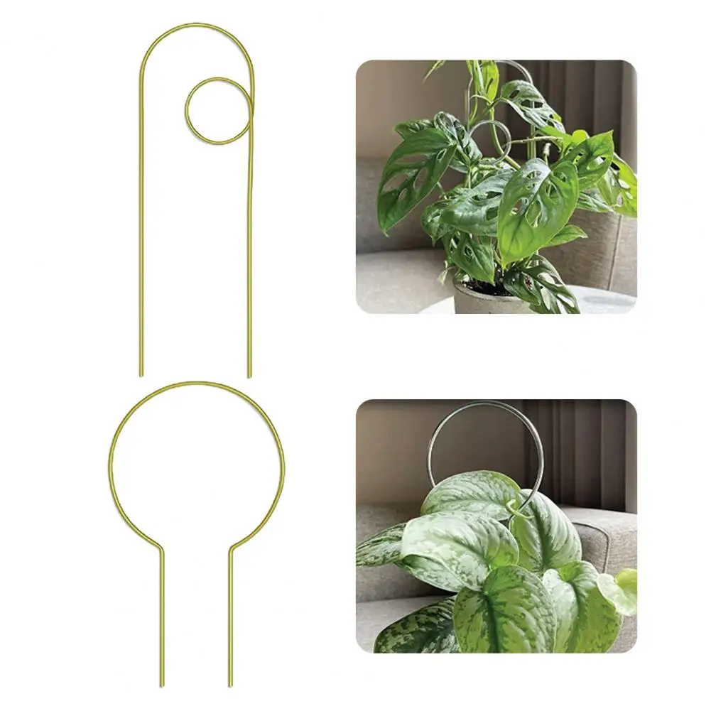 

4Pcs Unique Plant Trellis Wear-resistance Plant Climbing Rack Strong Supporting Wide Application