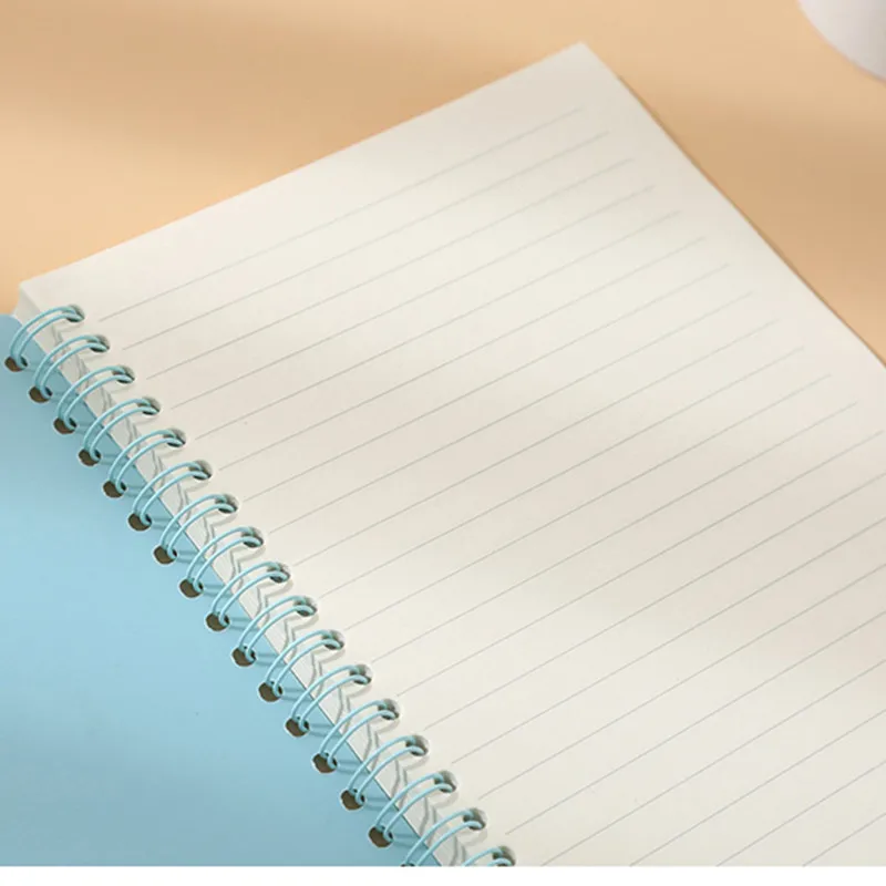 Рисунок 2 - Ретро-книга Morandi с цветными