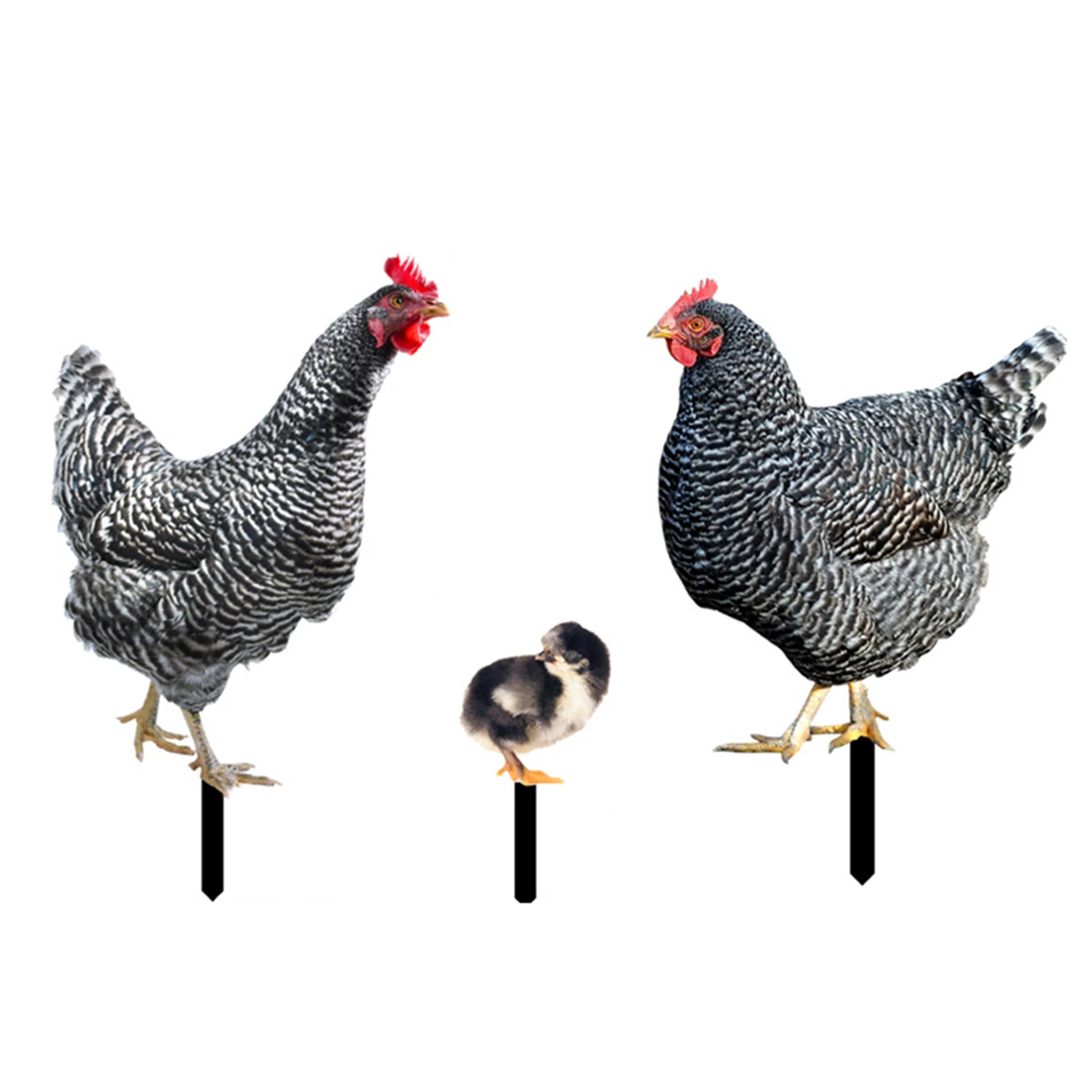 

3pcs Decorative Garden Rooster Set 3D Acrylic Chicken Animated Image Lifelike Crafts for Outdoor Yard Lawn Garden Home