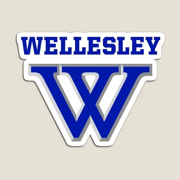 Wellesley украшение на магните для колледжа милый домашний холодильник Красочный