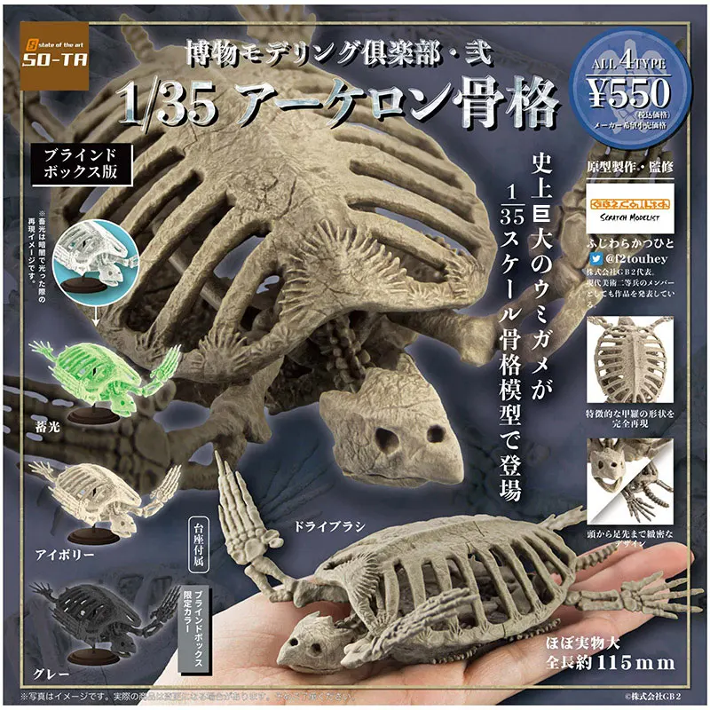 

Original SO-TA Gashapon Capsule Toys 1/35 Archelon Bone Sea Turtle Skeleton Museum Action Figures Gachapon