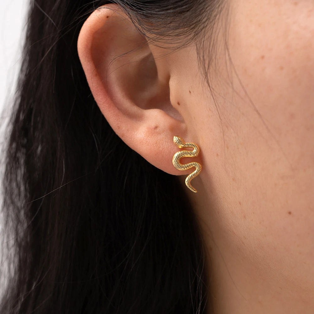 

Vintage Snake-shaped Stainless Steel Earrings For Women Creative Snake Earrings Ladies Personality Earrings Jewelry Gift