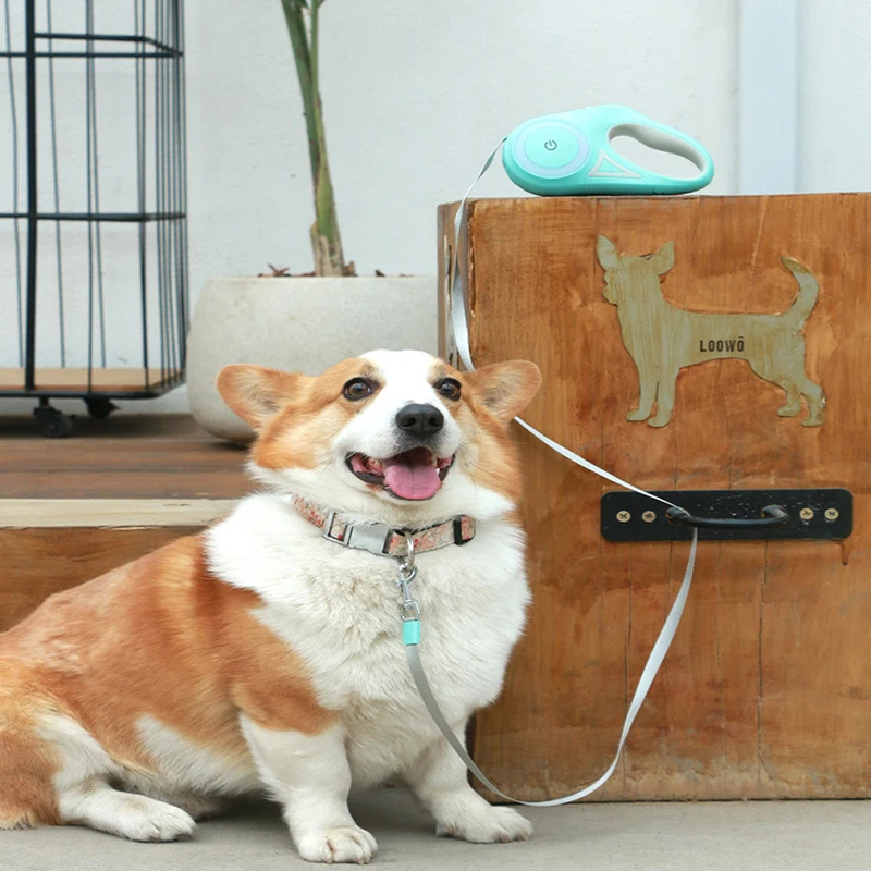 

Свинцовый поводок для собак, автоматический выдвижной светильник с сенсорсветильник управлением, 3 м, для домашних питомцев