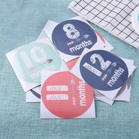 1 12 monthly fun lovely gift pregnant women newborn baby waterproof photo props month photograph stickers