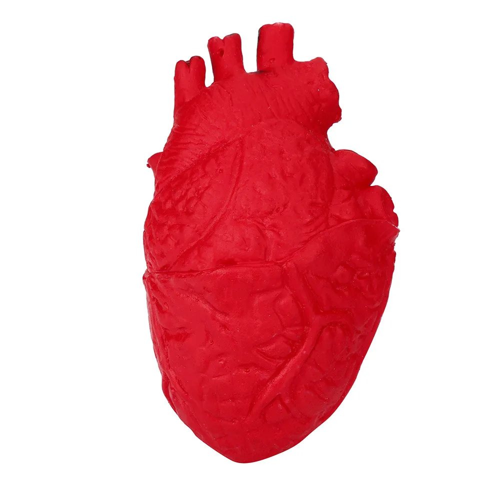 

Silicone Novelty Toy Reliever Heart Stress Ball Organ Stress Toy Scary Education