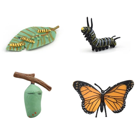 1 комплект, Детские Монтессори, животные, жизненный цикл, имитация бабочки, паук, жизненный цикл, модель, украшения, Детские Обучающие инструменты, Дошкольная игрушка