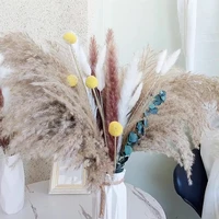1set best natural dried fluffy pampas grass bouquet pompous large reed bunny tail pampas boho home wedding party decoration