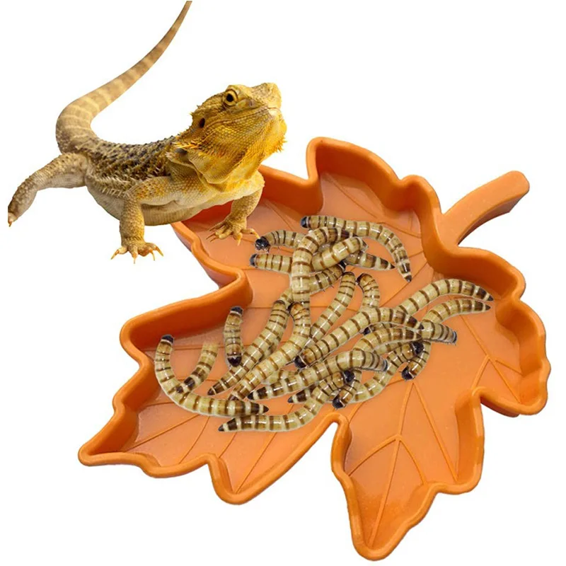

Reptiles Feeder Food Bowl Water Basin Leaf Shape Plastic Lizard Snake Tortoise Small Pets Supplies