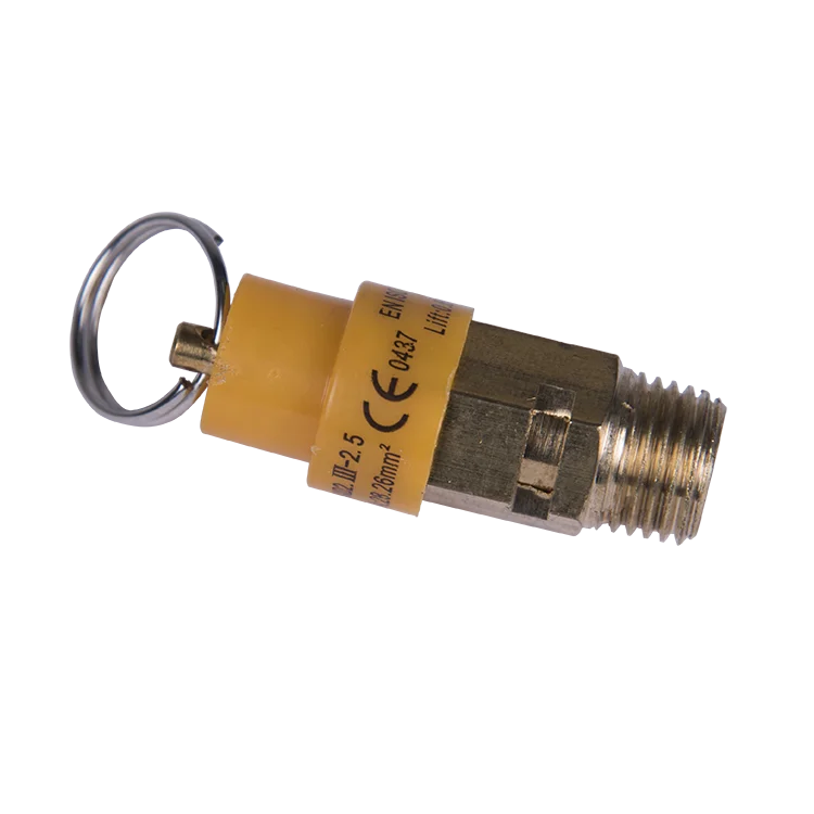 

Safety Valve Air filter Air Compressor Spare Parts
