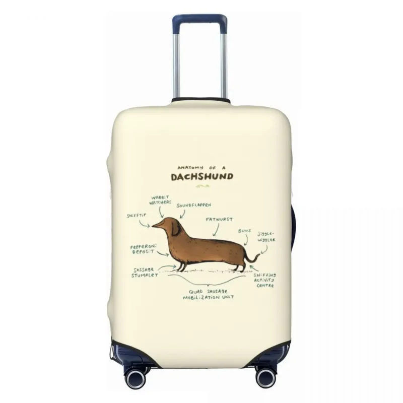 

Anatomy Of A Dachshund Luggage Cover Elastic Badger Sausage Wiener Dog Travel Suitcase Protective Covers Suit For 18-32 inch