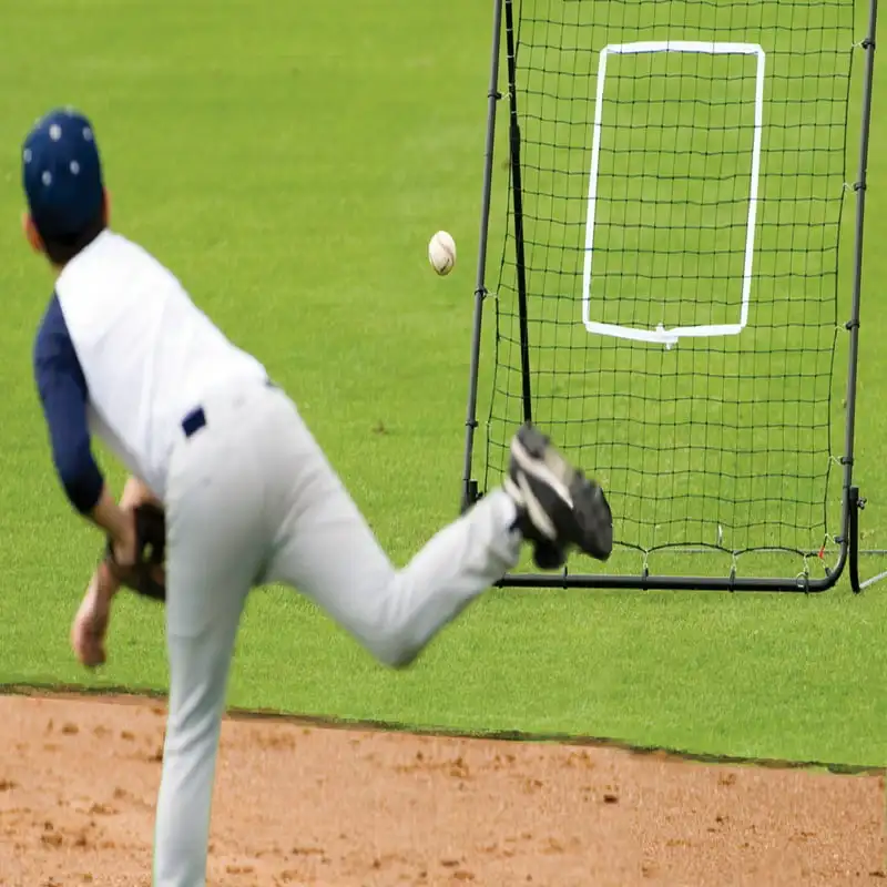 

Target + Rebounder Net - Switch Hitter