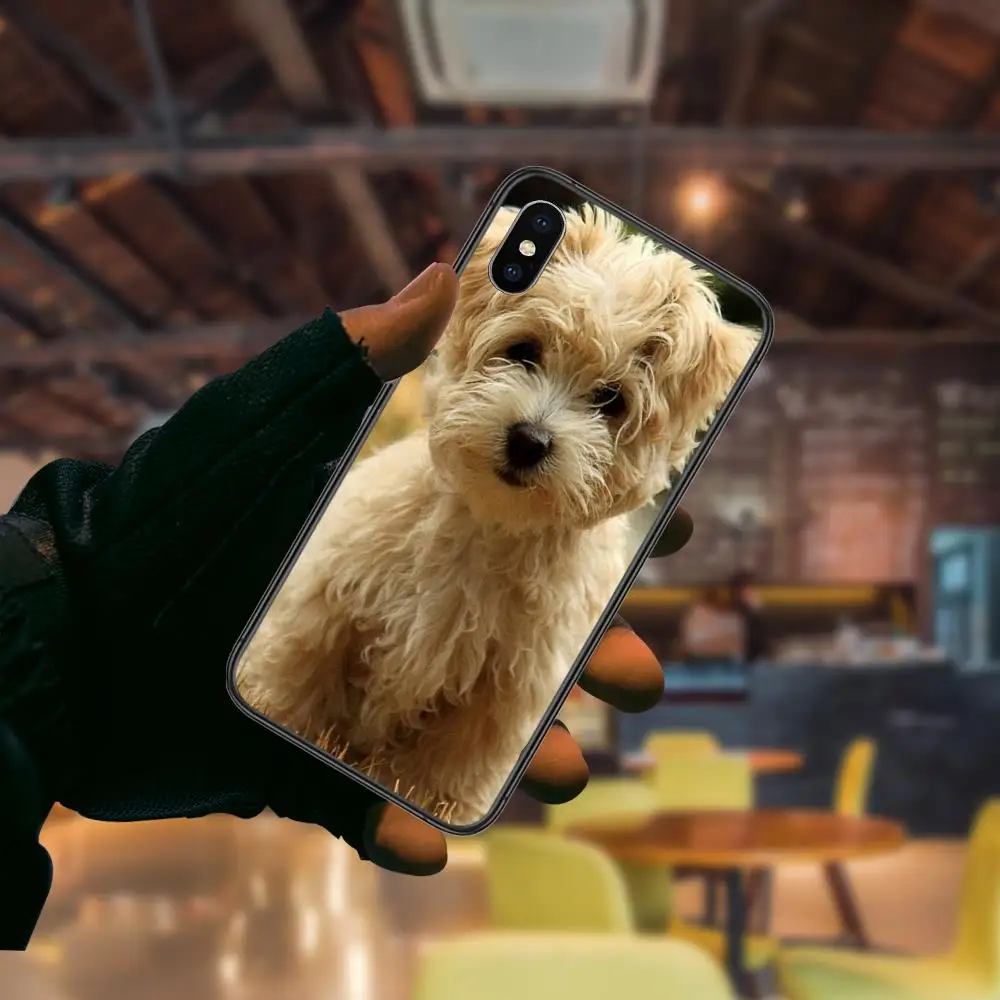 Регулируемая цена коричневый белый щенок собака для Huawei Nova 8 se pro y5 y9 Mate 20 30 10 40 Lite Pro