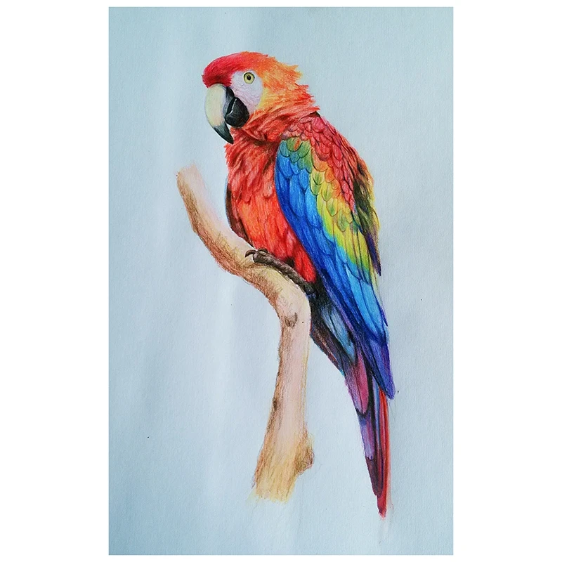 

Алмазная живопись «сделай сам», алмазная вышивка, круглая смола, алмазная вышивка крестиком, домашний Настенный декор, 30x40 см, ара