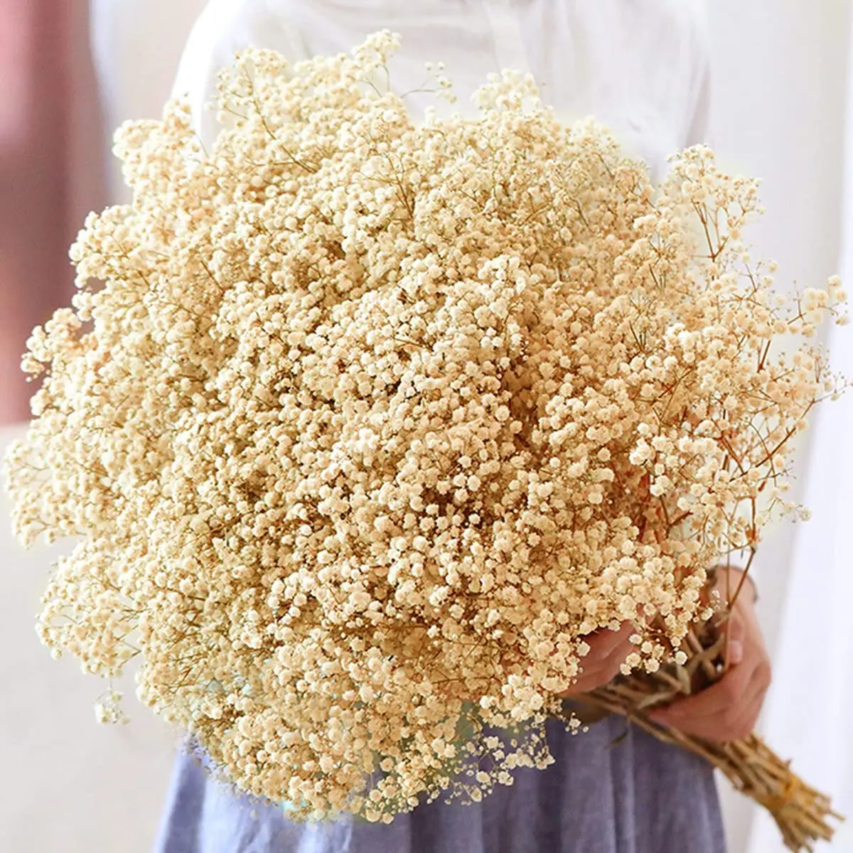 

100g Babys Breath Bouquets Gypsophila Branches Natural Dried Flower for Home Decor Wedding Garland Decoration Dry Flowers