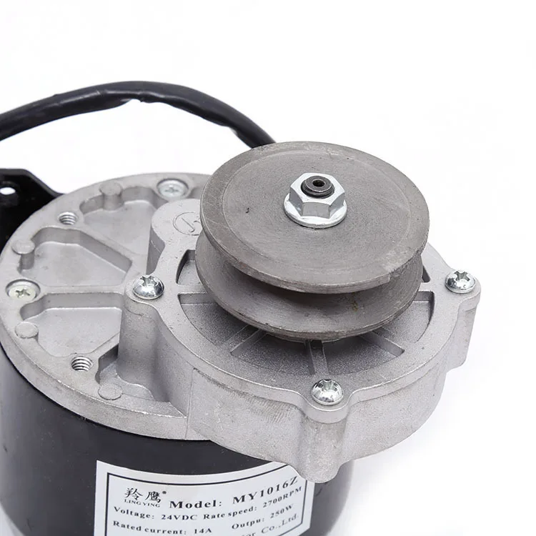

Electric Bicycle Gear Motor 12V/24V 250W/350W Brush DC Motor Modification MY1016Z2