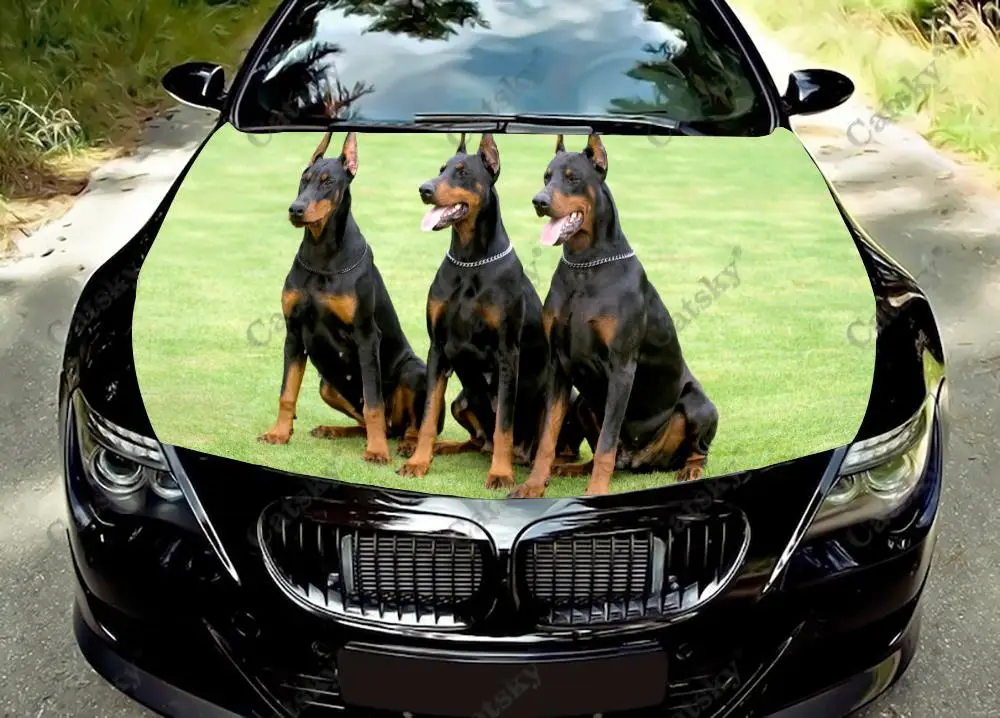 

Немецкая виниловая наклейка Doberman Pinscher для капота автомобиля, цветная наклейка для оформления капота автомобиля на заказ