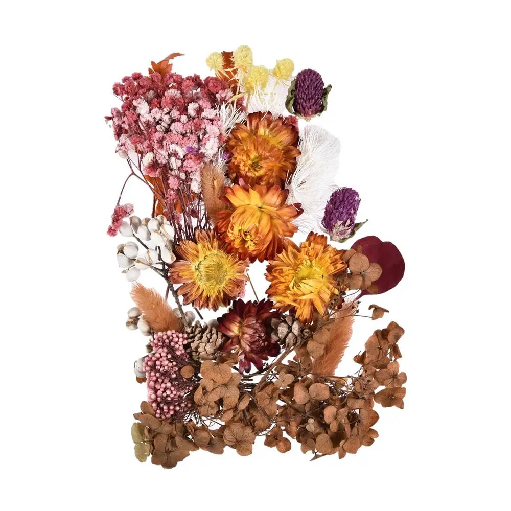 Натуральные сухие цветы для декорирования