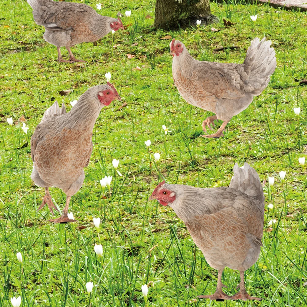 

4 Pcs Decorative Garden Inserts Courtyard Outdoor Chicken Stake Lawn Hen Ornament Ornaments Animal Decoration